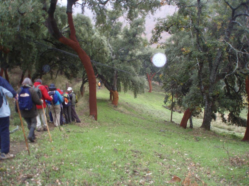 Vila Casa Del Gastronomo Cortes de la Frontera Pokoj fotografie